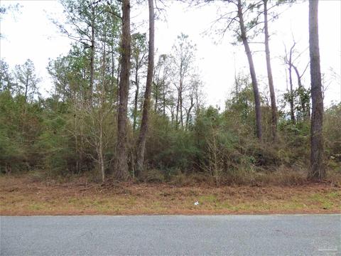 200 E Bogia Rd, Mcdavid, FL 32568 photo 5