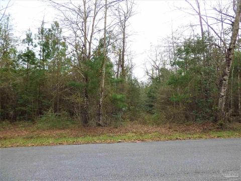 200 E Bogia Rd, Mcdavid, FL 32568 photo 2