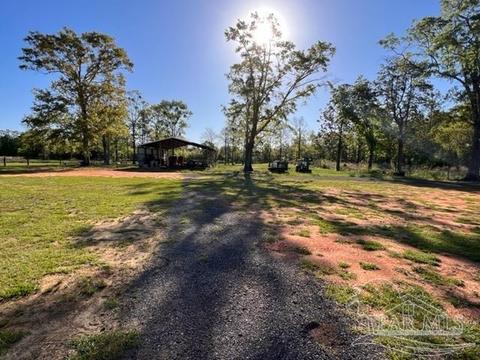8520 Hwy 97, Mcdavid, FL 32568 photo 45