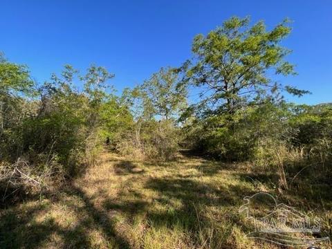 8520 Hwy 97, Mcdavid, FL 32568 photo 43