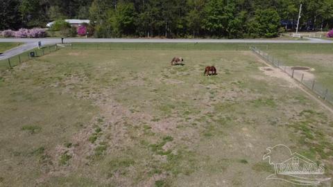 8520 Hwy 97, Mcdavid, FL 32568 photo 30