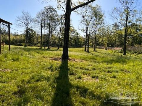 8520 Hwy 97, Mcdavid, FL 32568 photo 49