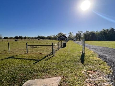 8520 Hwy 97, Mcdavid, FL 32568 photo 42