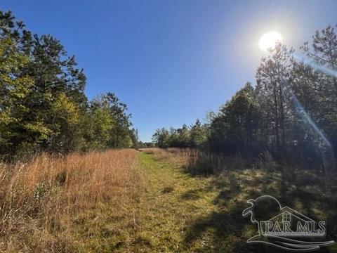 8520 Hwy 97, Mcdavid, FL 32568 photo 44