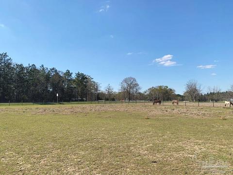 8520 Hwy 97, Mcdavid, FL 32568 photo 39