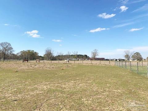 8520 Hwy 97, Mcdavid, FL 32568 photo 38
