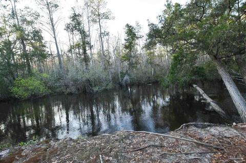 4884 Shell Rd, Milton, FL 32583 photo 46
