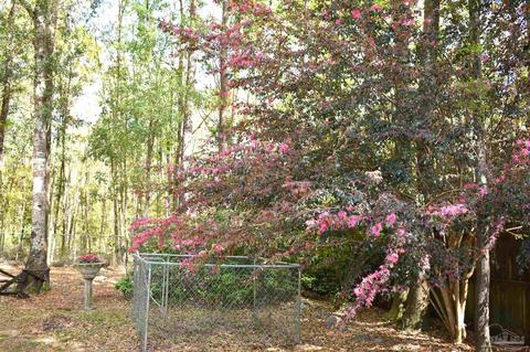 4852 E Spencer Field Rd, Pace, FL 32571 photo 37