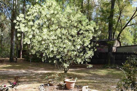 4852 E Spencer Field Rd, Pace, FL 32571 photo 4