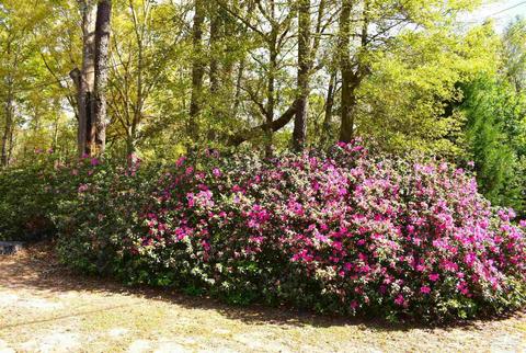 4852 E Spencer Field Rd, Pace, FL 32571 photo 3