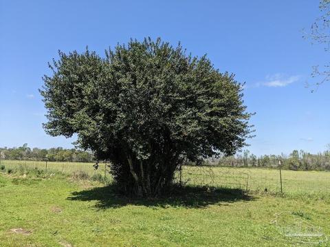 15291 N Hwy 87, Jay, FL 32565 photo 10