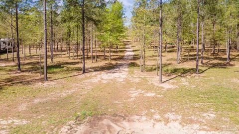 2383 Bud Diamond Rd, Jay, FL 32565 photo 43