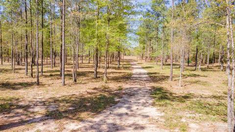 2383 Bud Diamond Rd, Jay, FL 32565 photo 40
