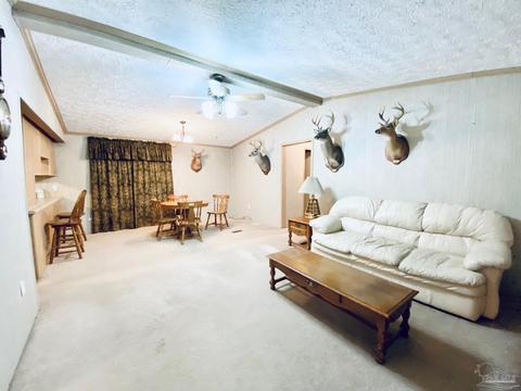 7203 Heath Rd, Milton, FL 32570 photo 3