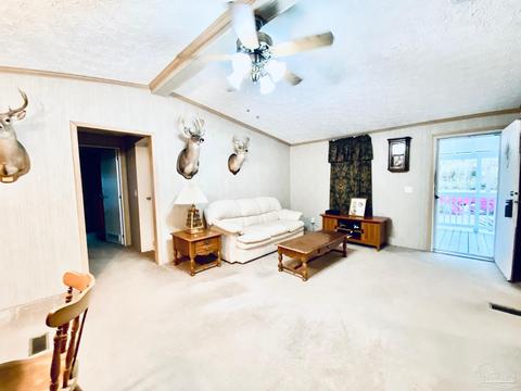 7203 Heath Rd, Milton, FL 32570 photo 4