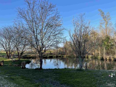 4821 Dixonville Rd, Jay, FL 32565 photo 4