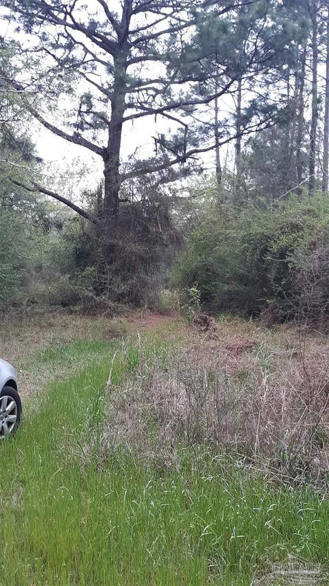6099 Three Notch Trl, Milton, FL 32570 photo 1