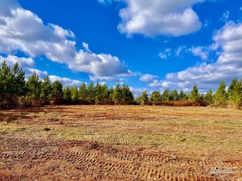 lot16 Mineral Springs Rd, Jay, FL 32565
