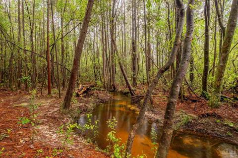 1645 Christmas Tree Rd, Milton, FL 32570 photo 41