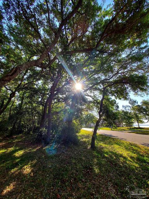 tbd Andrew Jackson Dr, Pace, FL 32571 photo 8