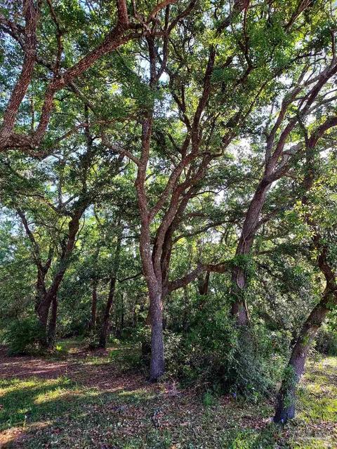 tbd Andrew Jackson Dr, Pace, FL 32571 photo 3