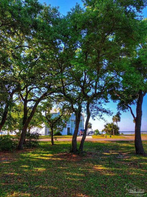 tbd Andrew Jackson Dr, Pace, FL 32571 photo 6