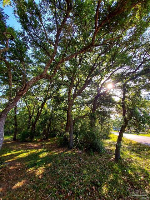 tbd Andrew Jackson Dr, Pace, FL 32571 photo 2