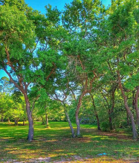 tbd Andrew Jackson Dr, Pace, FL 32571 photo 11