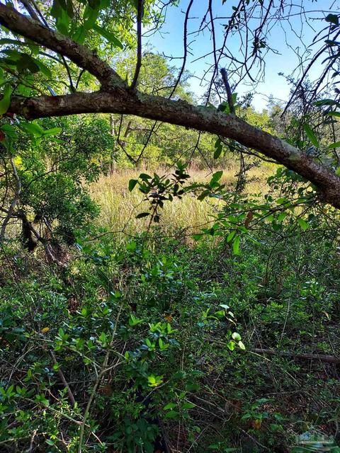 tbd Andrew Jackson Dr, Pace, FL 32571 photo 4