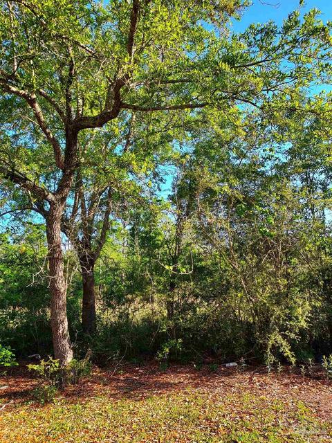 tbd Andrew Jackson Dr, Pace, FL 32571 photo 5