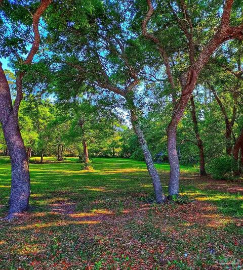 tbd Andrew Jackson Dr, Pace, FL 32571 photo 10