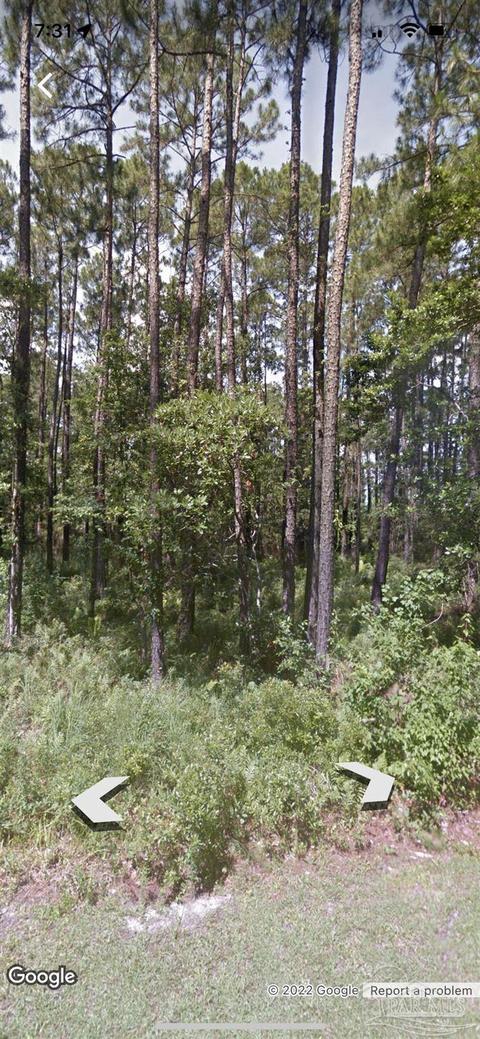 4585 Bayside Dr, Milton, FL 32583 photo 3