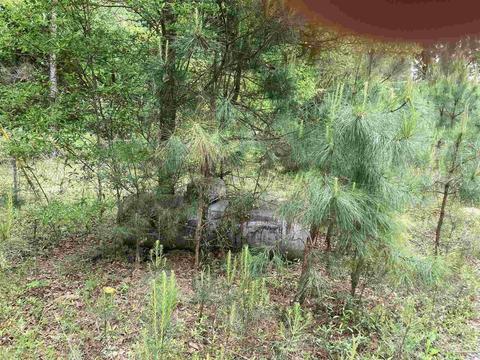 2527 Camors Rd, Jay, FL 32565 photo 13