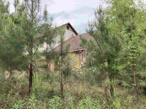 2527 Camors Rd, Jay, FL 32565 photo 15