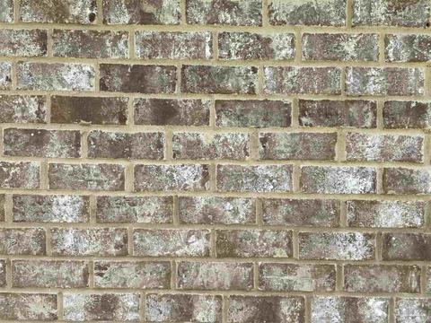 4934 Tributary Dr, Milton, FL 32570 photo 38