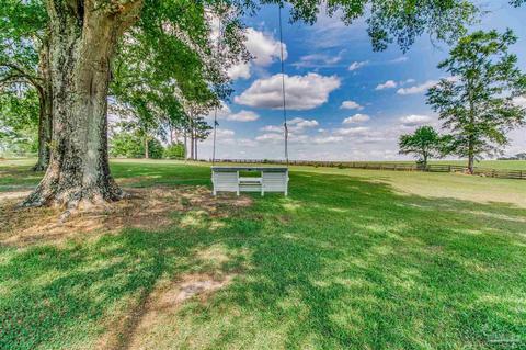 6740 Meadow Ln, Mcdavid, FL 32568 photo 3