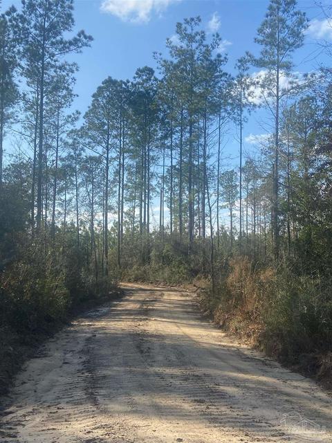 8202 Gin Rd, Pace, FL 32571 photo 1