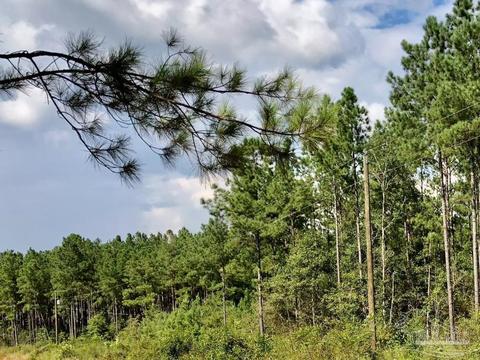 lot Ksw Gin Rd, Pace, FL 32571 photo 7