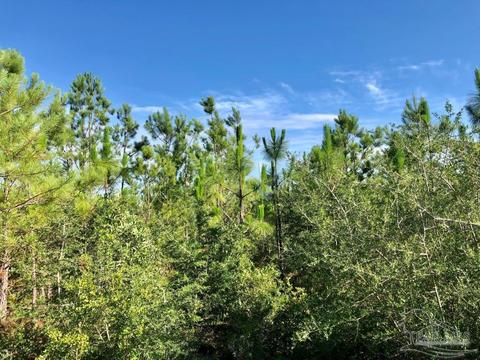 lot Ksw Gin Rd, Pace, FL 32571 photo 10