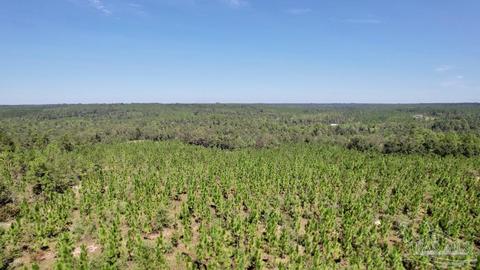 lot Ksw Gin Rd, Pace, FL 32571 photo 13