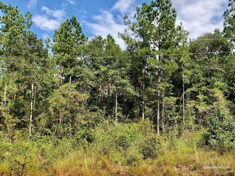 lot Ksw Gin Rd, Pace, FL 32571 photo 8
