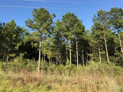 lot Ksw Gin Rd, Pace, FL 32571 photo 9
