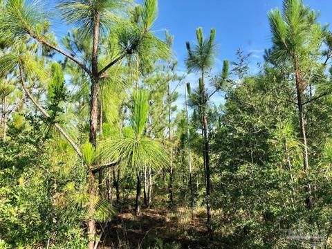 lot Ksw Gin Rd, Pace, FL 32571 photo 11
