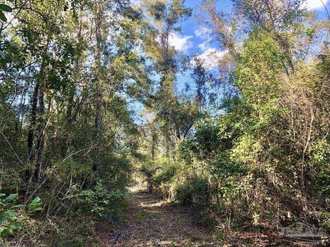 lot S 19 20 Bs Buffalo Ridge Rd, Pace, FL 32571 photo 16