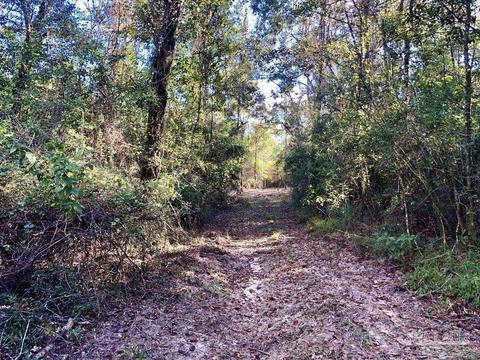 lot S 19 20 Bs Buffalo Ridge Rd, Pace, FL 32571 photo 7
