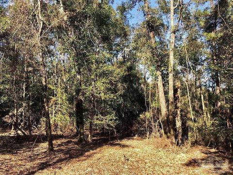 lot S 19 20 Bs Buffalo Ridge Rd, Pace, FL 32571 photo 10