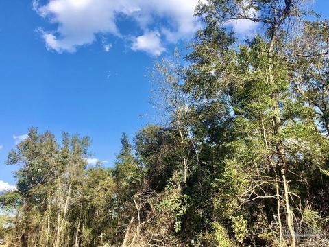 lot S 19 20 Bs Buffalo Ridge Rd, Pace, FL 32571 photo 17
