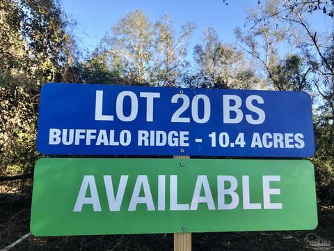 lot S 19 20 Bs Buffalo Ridge Rd, Pace, FL 32571 photo 4