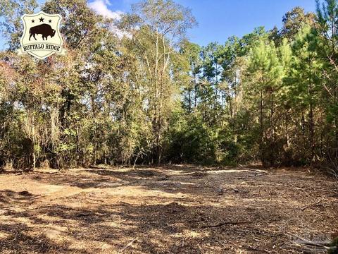 lot S 19 20 Bs Buffalo Ridge Rd, Pace, FL 32571