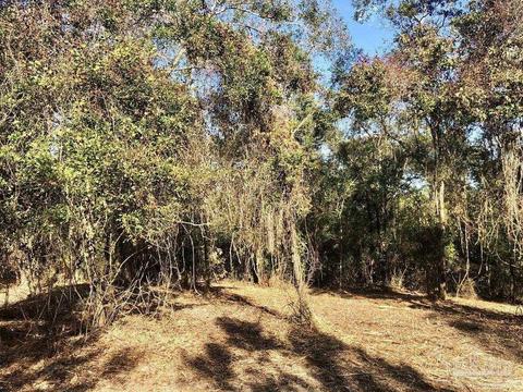 lot S 19 20 Bs Buffalo Ridge Rd, Pace, FL 32571 photo 9